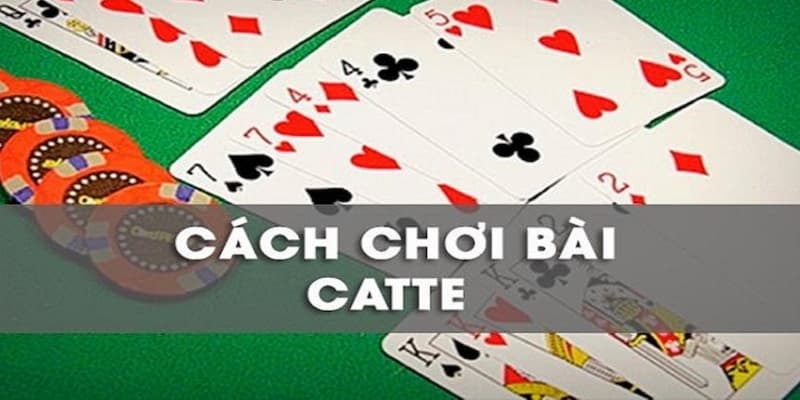 Luật Chơi Catte 2025 Chi Tiết: Cách Chơi, Mẹo Hay Từ Cao Thủ