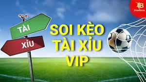 Yếu tố then chốt ảnh hưởng đến kèo Tài Xỉu